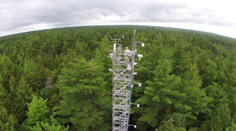 aerial photo of a metal tower rising above an expanse of forest. Atop the tower is a researcher.