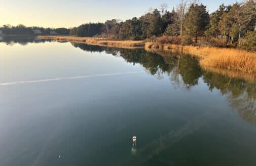 a small cylindrical device floats vertically, just poking out of the water in a bay. The shore is golden colored from the evening or morning light
