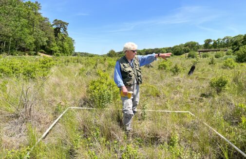 chris neill stands in tall grass inside of a marked square, pointing at something out of frame