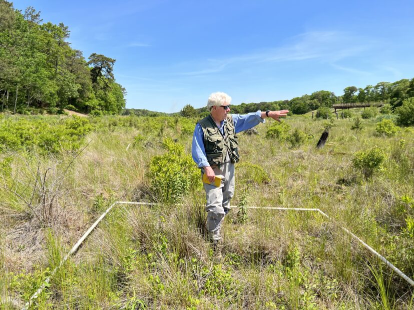 chris neill stands in tall grass inside of a marked square, pointing at something out of frame