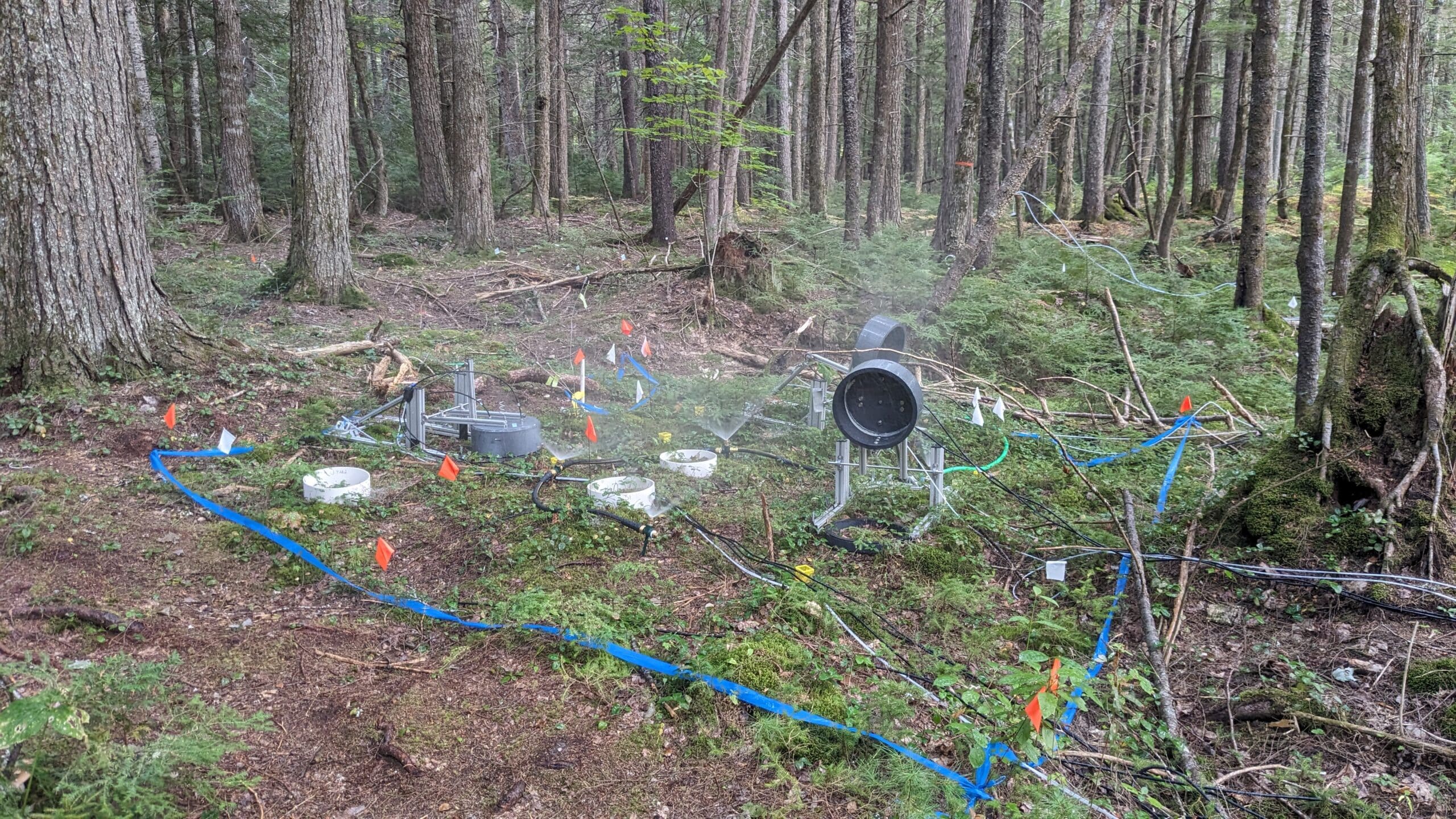 blue tape on the ground marks a research plot in a forest. inside the marked square are circular instruments that measure greenhouse gases fluxing from the earth