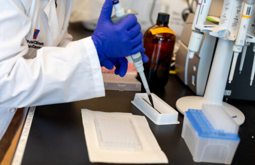 a gloved hand ejects pink liquid from a pipette into plastic wells for sample analysis