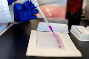 a hand wearing a blue latex glove uses a pipette to add bright pink liquid to a plastic tray of small divots