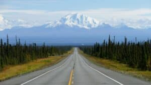 a long, straight road flanked by evergreen trees runs off into the horizon, where a massive, snow-capped mountain dominates the background