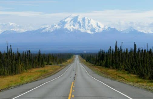 a long, straight road flanked by evergreen trees runs off into the horizon, where a massive, snow-capped mountain dominates the background