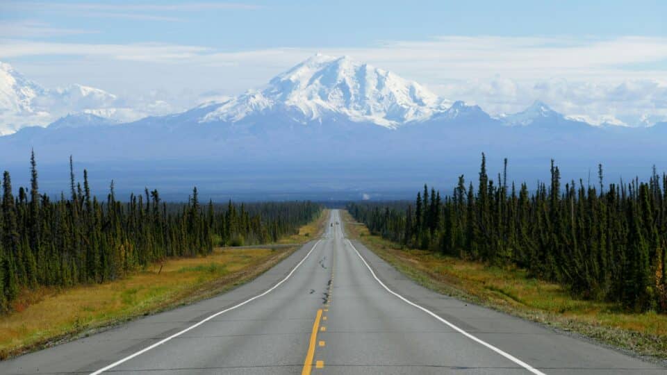 a long, straight road flanked by evergreen trees runs off into the horizon, where a massive, snow-capped mountain dominates the background