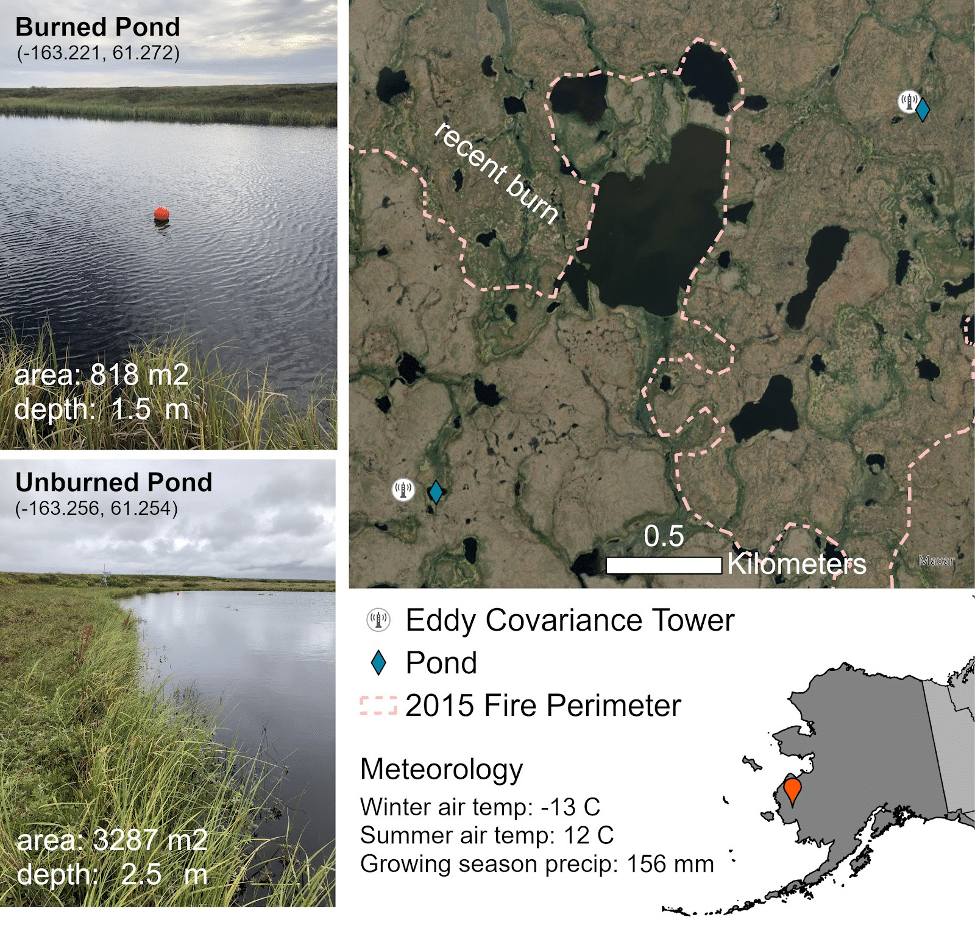 collage figure of research areas. one image says "burned pond (-163.221, 61.272) area: 818 m2 depth: 1.5m." another image says "unburned pond (-163.256, 61.254) area: 3287 m2 depth 2.5m." a small map shows the location of the site in western Alaska. An aerial image shows the outline of a recent burn (2015) around a lake. Additional text reads "meteorology. winter aire temp: -13 C summer air temp: 12c growing season precip: 156 mm