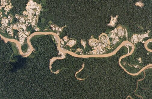 satellite image of illegal gold mining along a rainforest river. patches of light-colored earth eat into the forest around the river