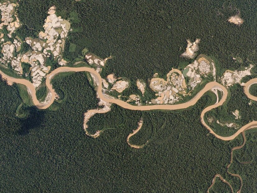 satellite image of illegal gold mining along a rainforest river. patches of light-colored earth eat into the forest around the river