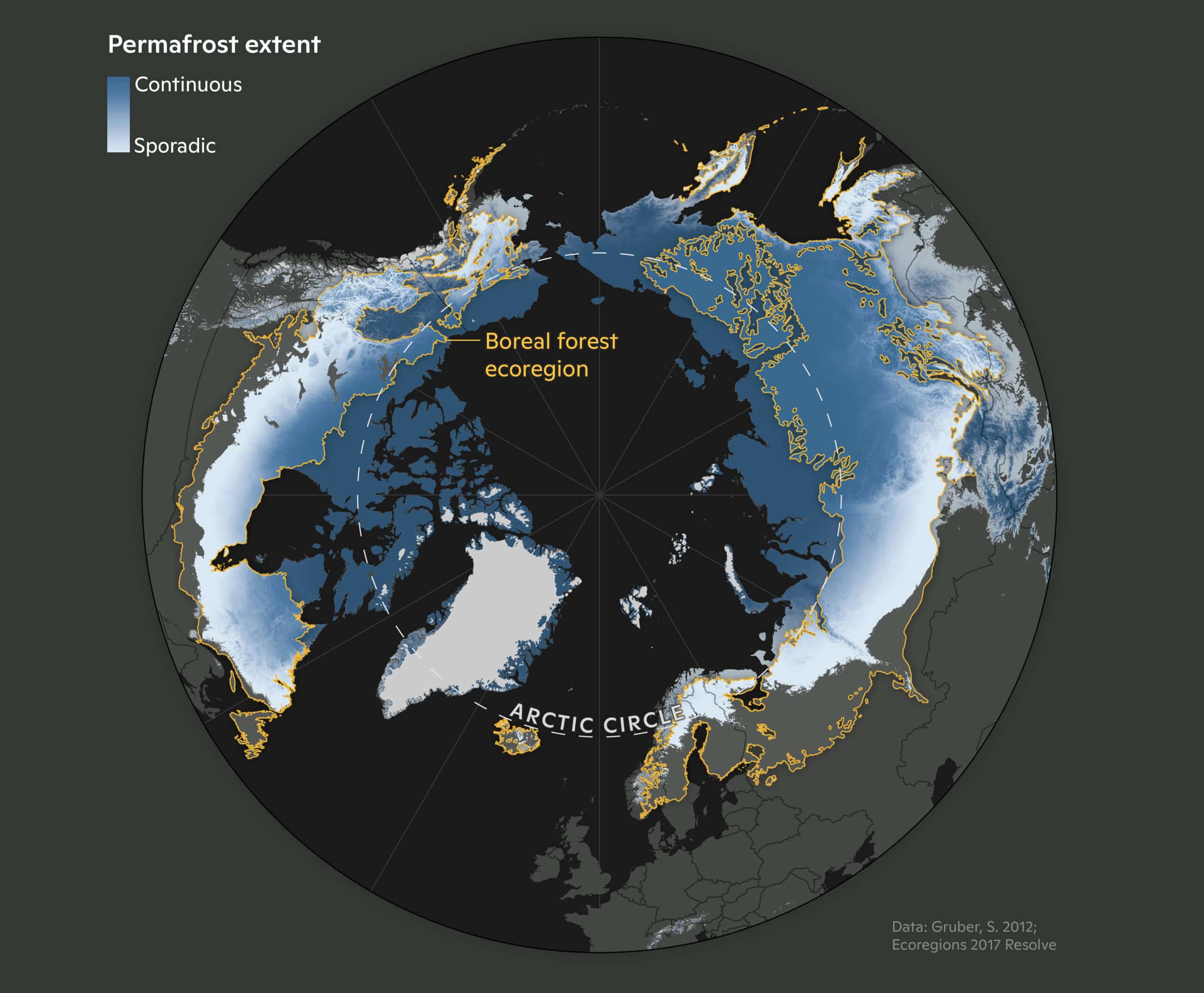Permafrost extent across the circumpolar boreal region. Map by Christina Shintani