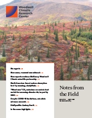 August 2020 Month in Review cover