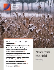 December 2020 Month in Review cover