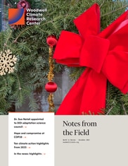 December 2023 Month in Review cover