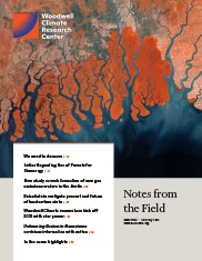 February 2021 Month in Review cover