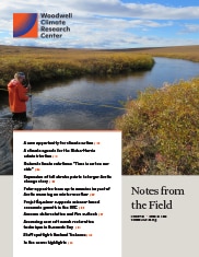 November 2020 Month in Review cover