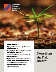 October 2020 Month in Review cover