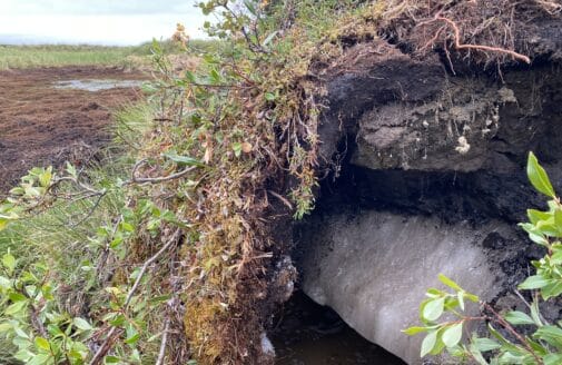 a mat of vegetation and soil is draped over a layer of ice in the landscape