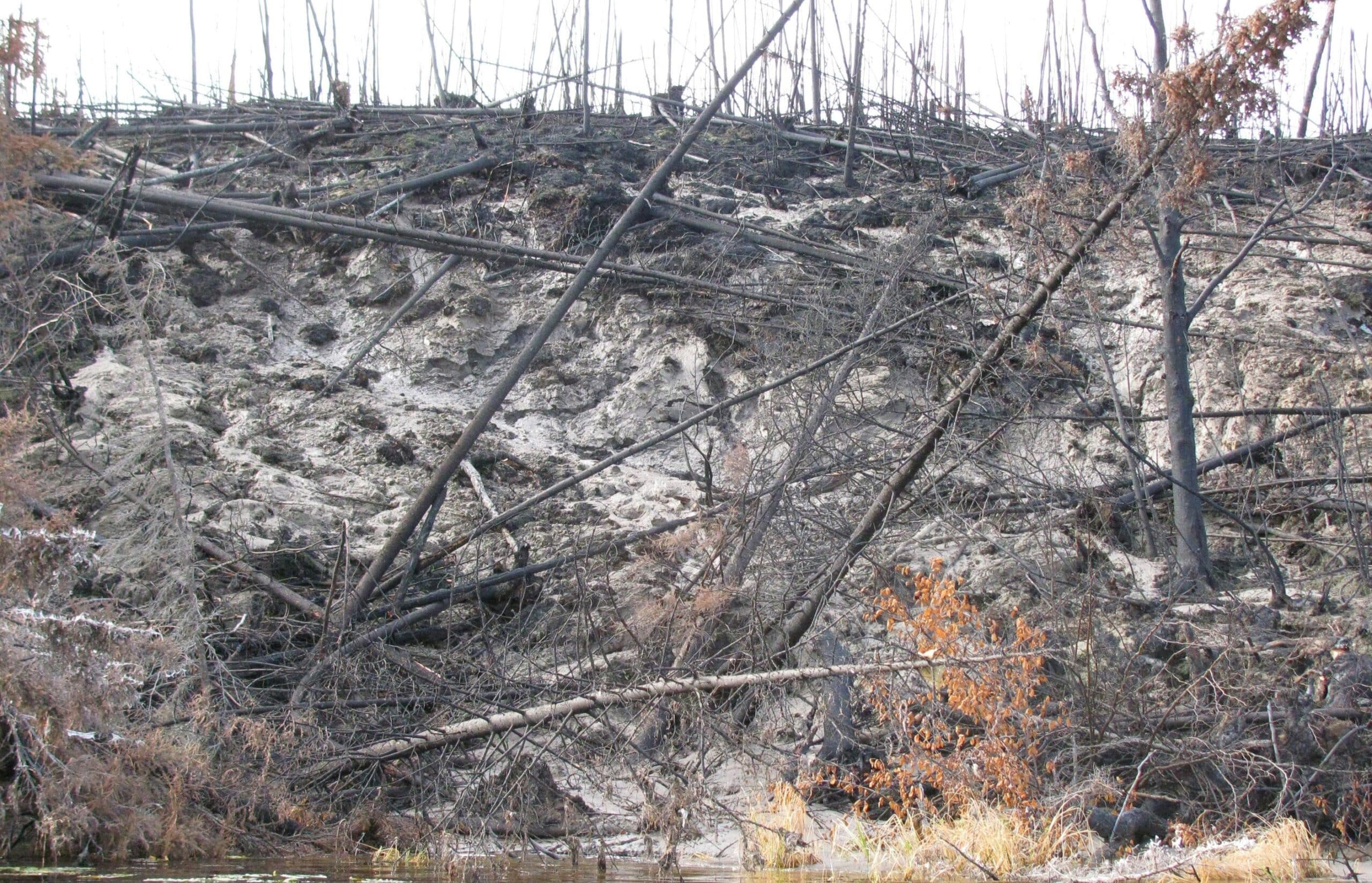 Climate change and colonial histories fuel the fire Climate change has created hotter and drier conditions in the north, increasing the frequency and intensity of Arctic-boreal wildfires. These wildfires amplify global warming, creating a feedback loop by burning deep into permafrost, a carbon-rich soil, and releasing stored carbon dioxide and methane into the atmosphere. A recent study led by Permafrost Pathways researchers found that wildfire has contributed to the Arctic’s shift from a net absorber to a net emitter of carbon. That increase in emissions in turn fuels even more fires. Between 2003 and 2023, the Arctic-boreal region saw a sevenfold increase in extreme wildfires.