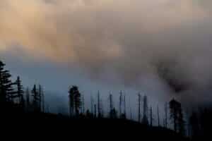 wildfire smoke rises over boreal forest