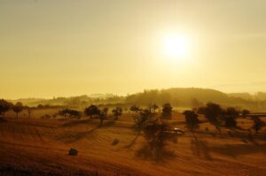 sun rising over a landscape of brown grass and sparse trees