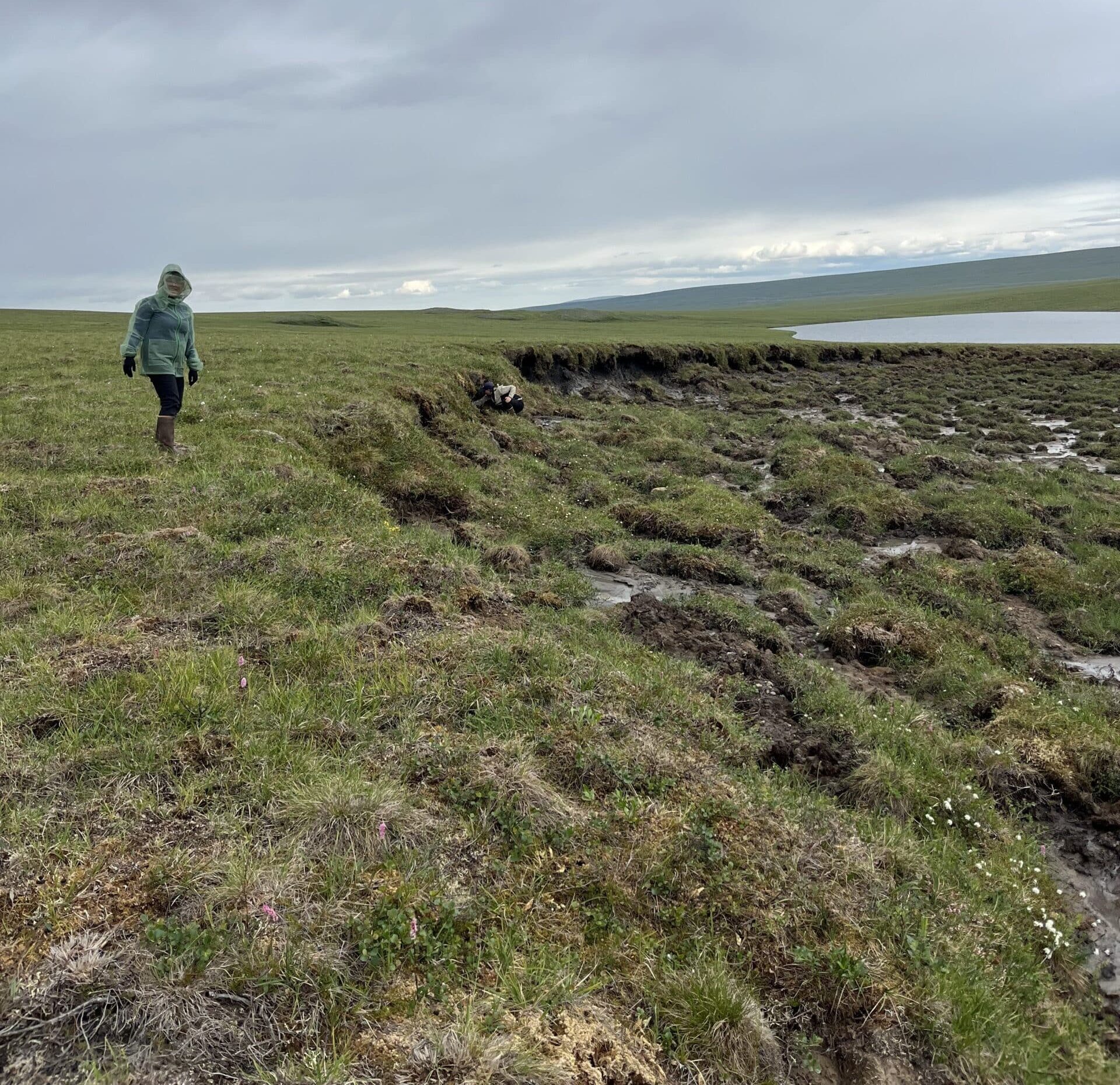 a person stands on the grassy headwall of a retrogressive thaw slump. below, the land is eroding away into a muddy, uneven slope