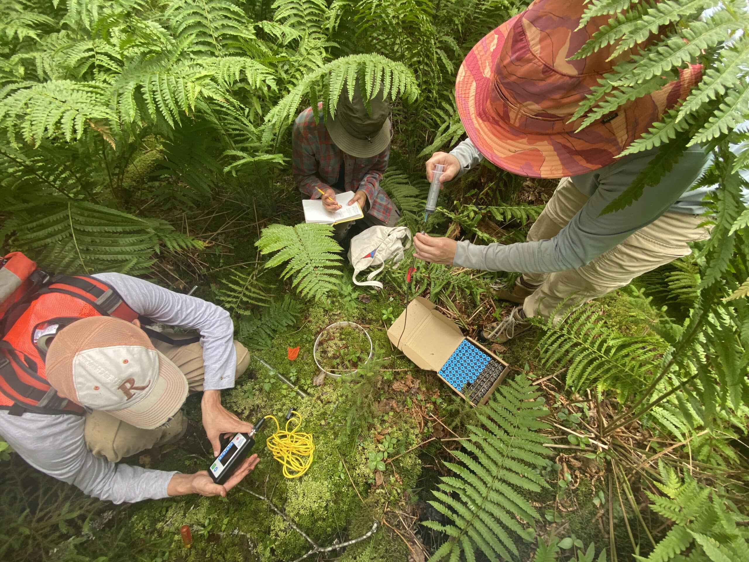 scientists huddle around a carbon chamber in the soil at howland forest