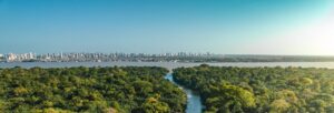 an aerial view of a river cutting through a rainforest, with the cityscape of Belem in the background