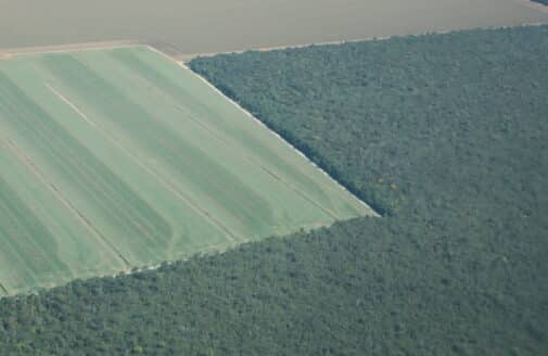 an aerial photo shows a farm field cutting a square into the edge of a forest