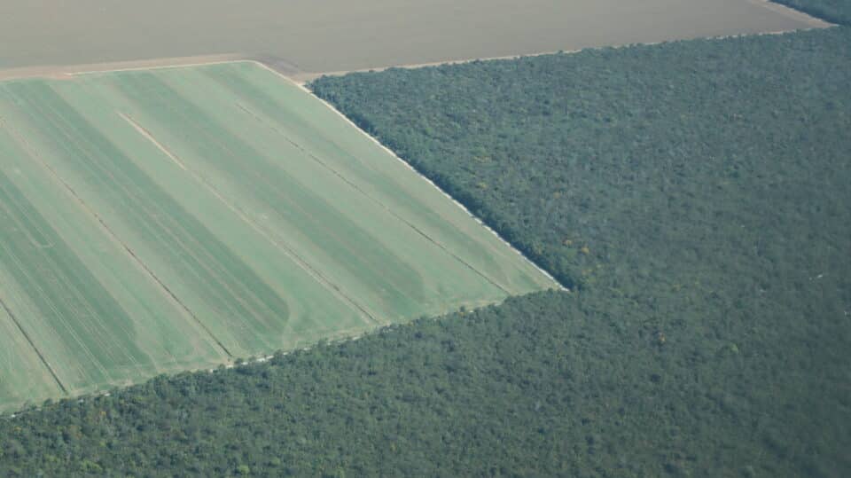 an aerial photo shows a farm field cutting a square into the edge of a forest