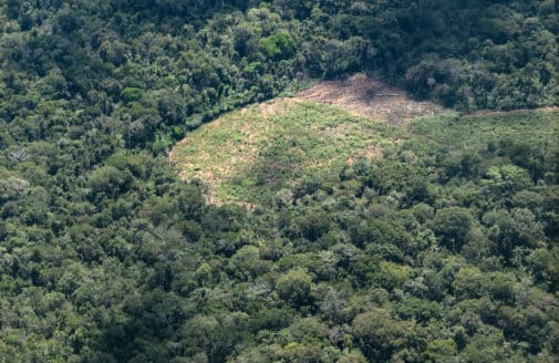 aerial photograph of a cleared patch of forest in the Amazon