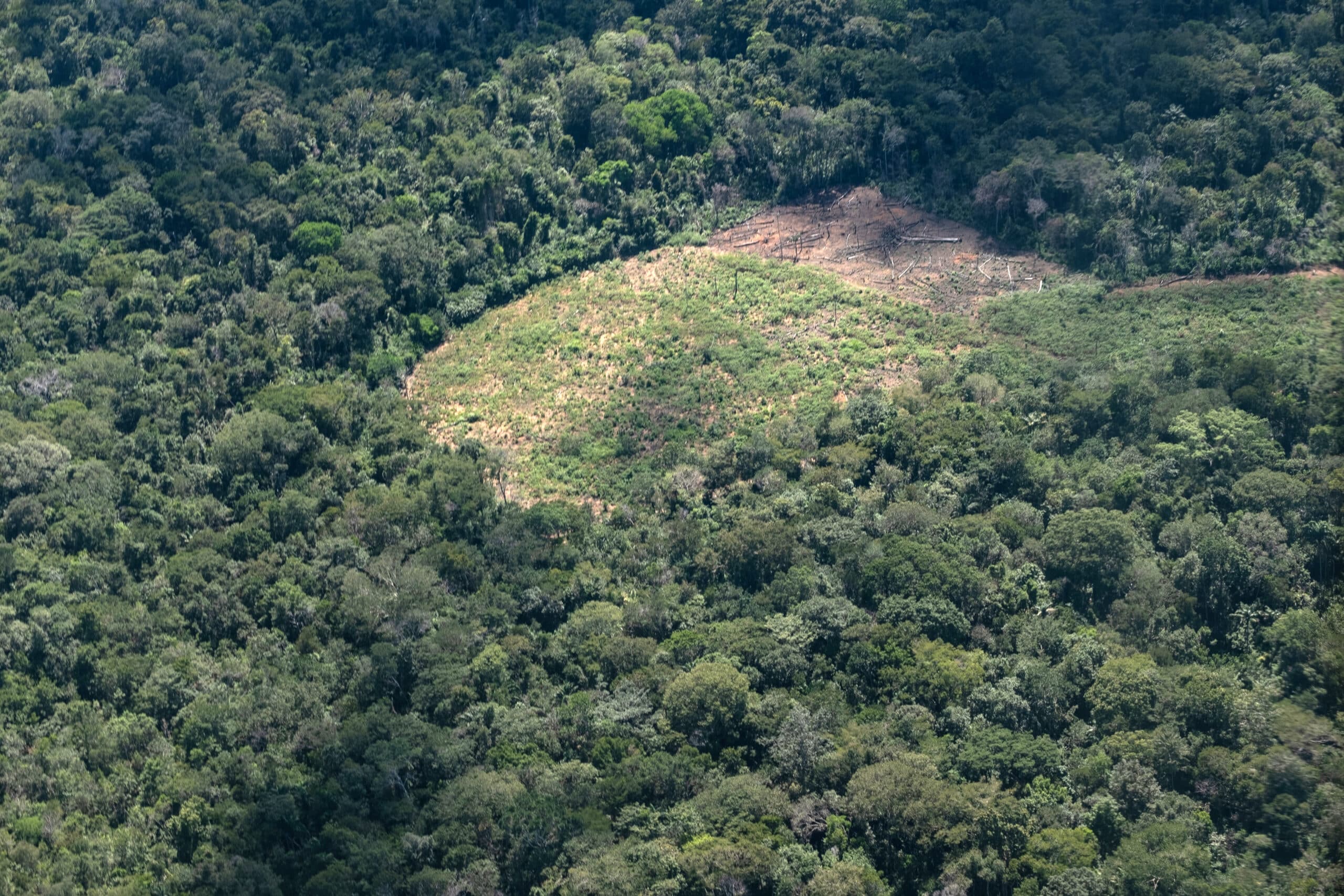 aerial photograph of a cleared patch of forest in the Amazon