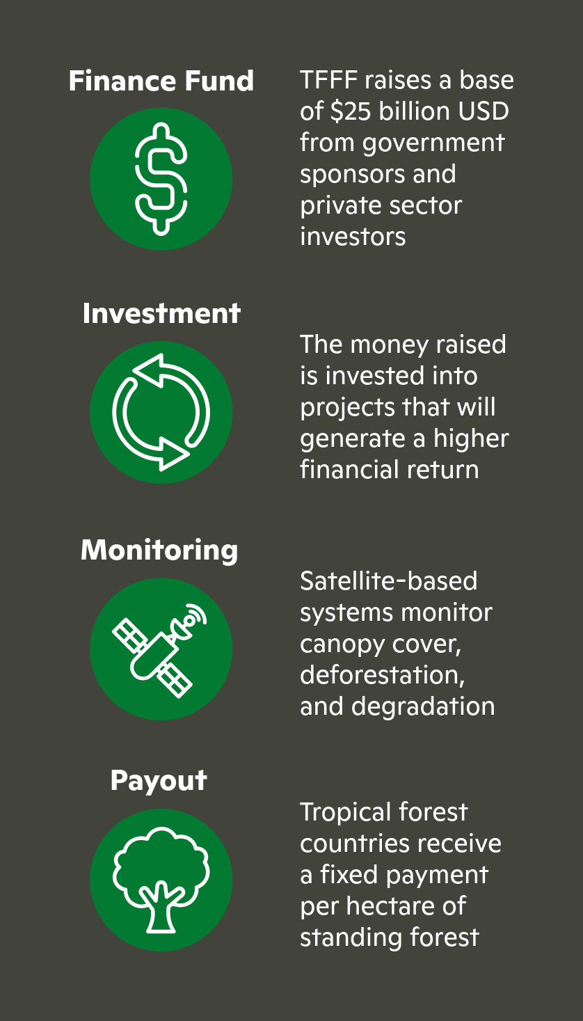 tropical forests forever facility mechanisms