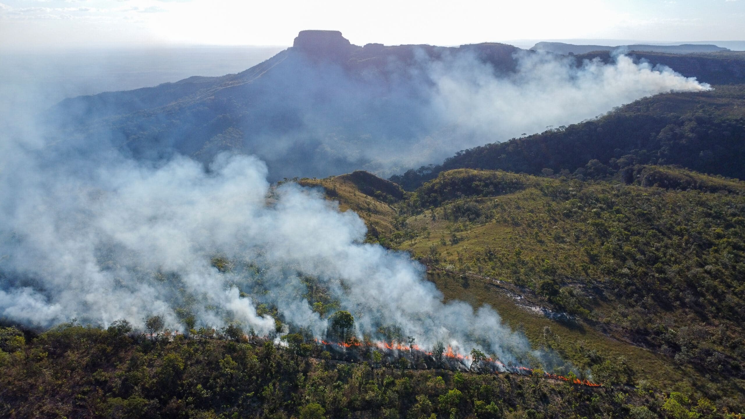 Fire in Chapada dos Guimarães in Mato Grosso, adjacent southwest to Tocantins. / photo by Manoela Machado
