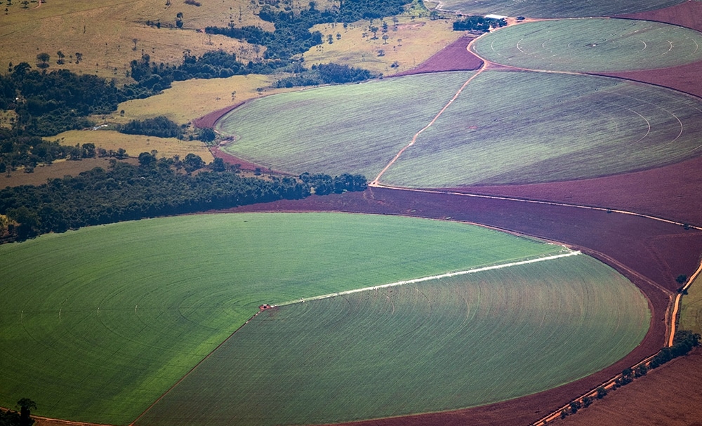 agricultural fields in Brazil