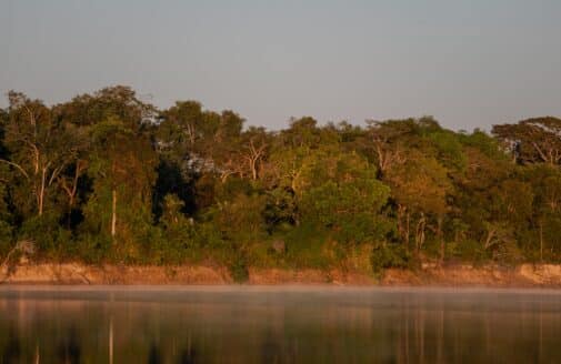 river in the foreground, Amazon rainforest in the background