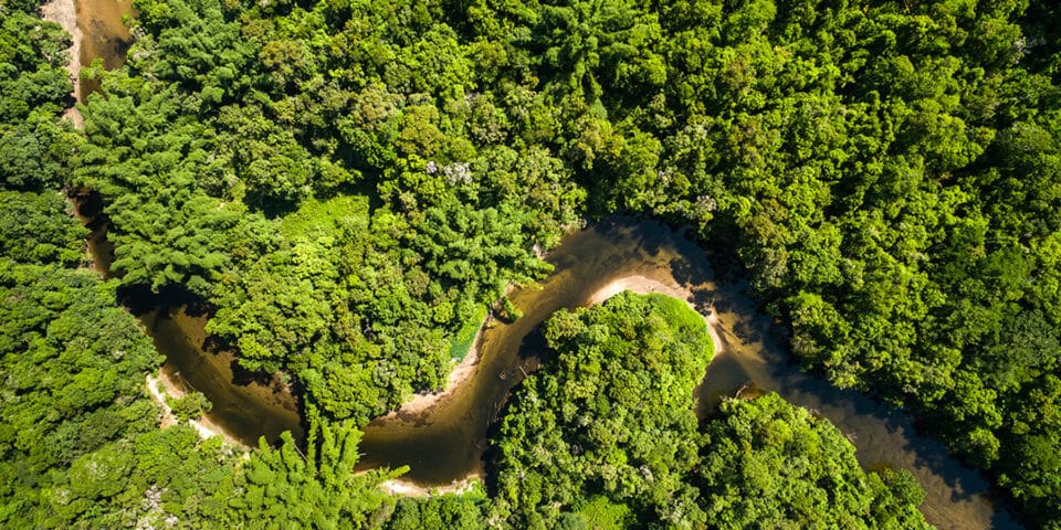 aerial view of a river through Amazon forest