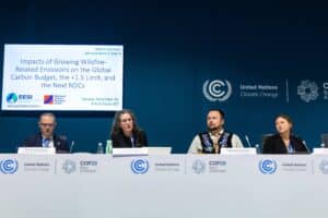 experts sit on a panel at COP29. a screen behind them says "impacts of growing wildfire-related emissions on the global carbon nudget, the +1.5 limit, and the next NDCs"