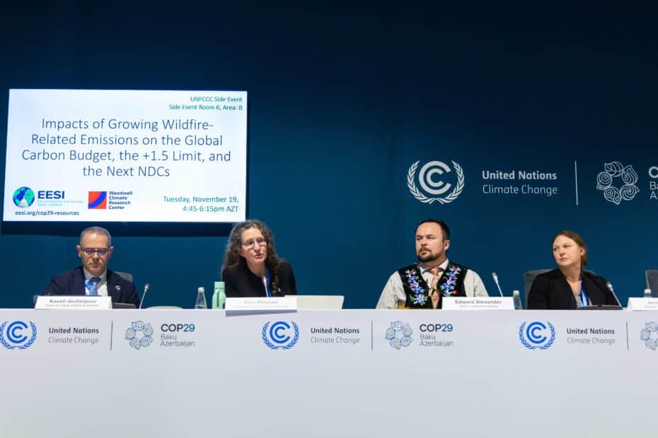 experts sit on a panel at COP29. a screen behind them says 