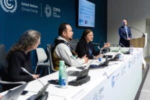 speakers present on a UN climate change panel at COP 29