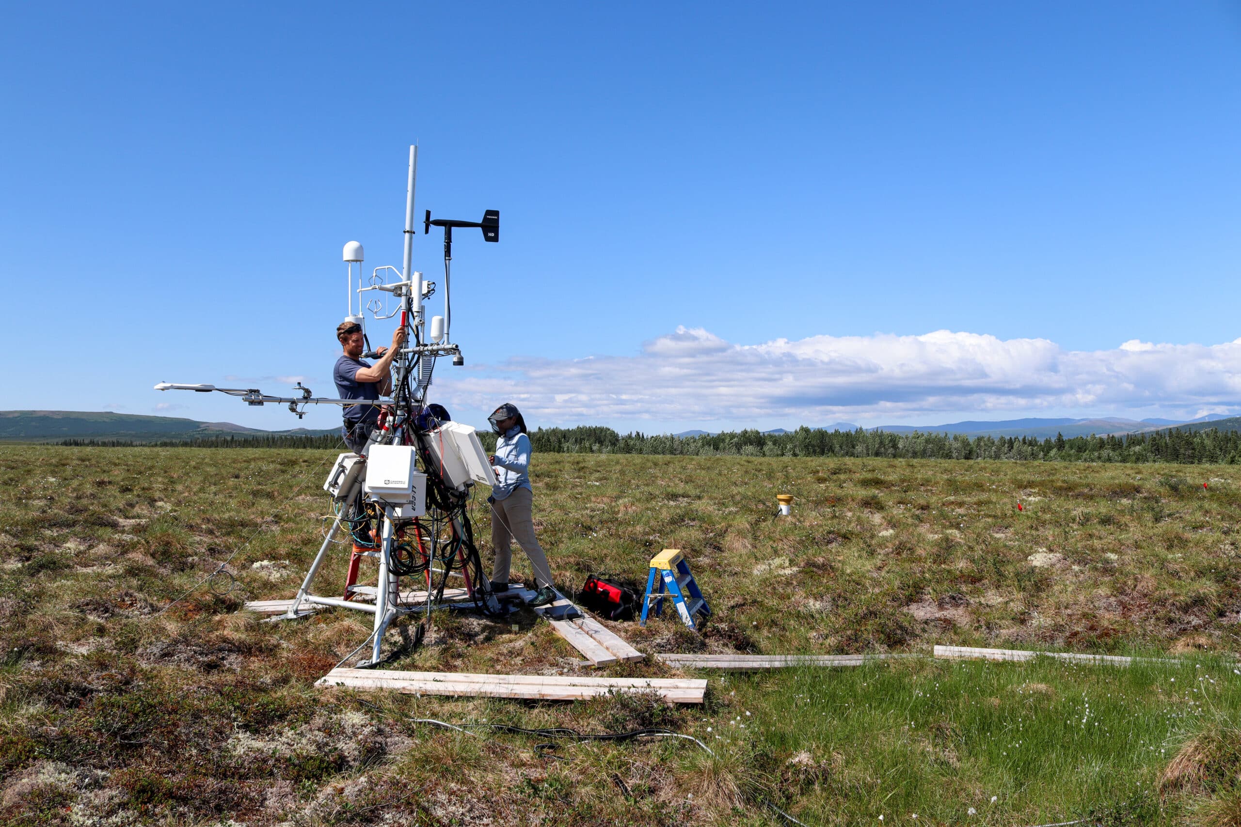 scientists work on carbon tower