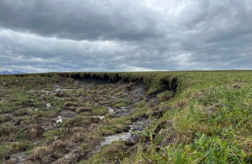 a retrogressive thaw slump in the Alaska tundra, where the ground erodes from a flat grassy area into lumpy soil