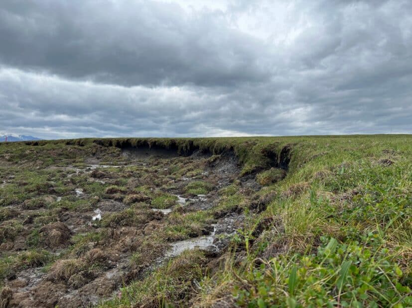 a retrogressive thaw slump in the Alaska tundra, where the ground erodes from a flat grassy area into lumpy soil