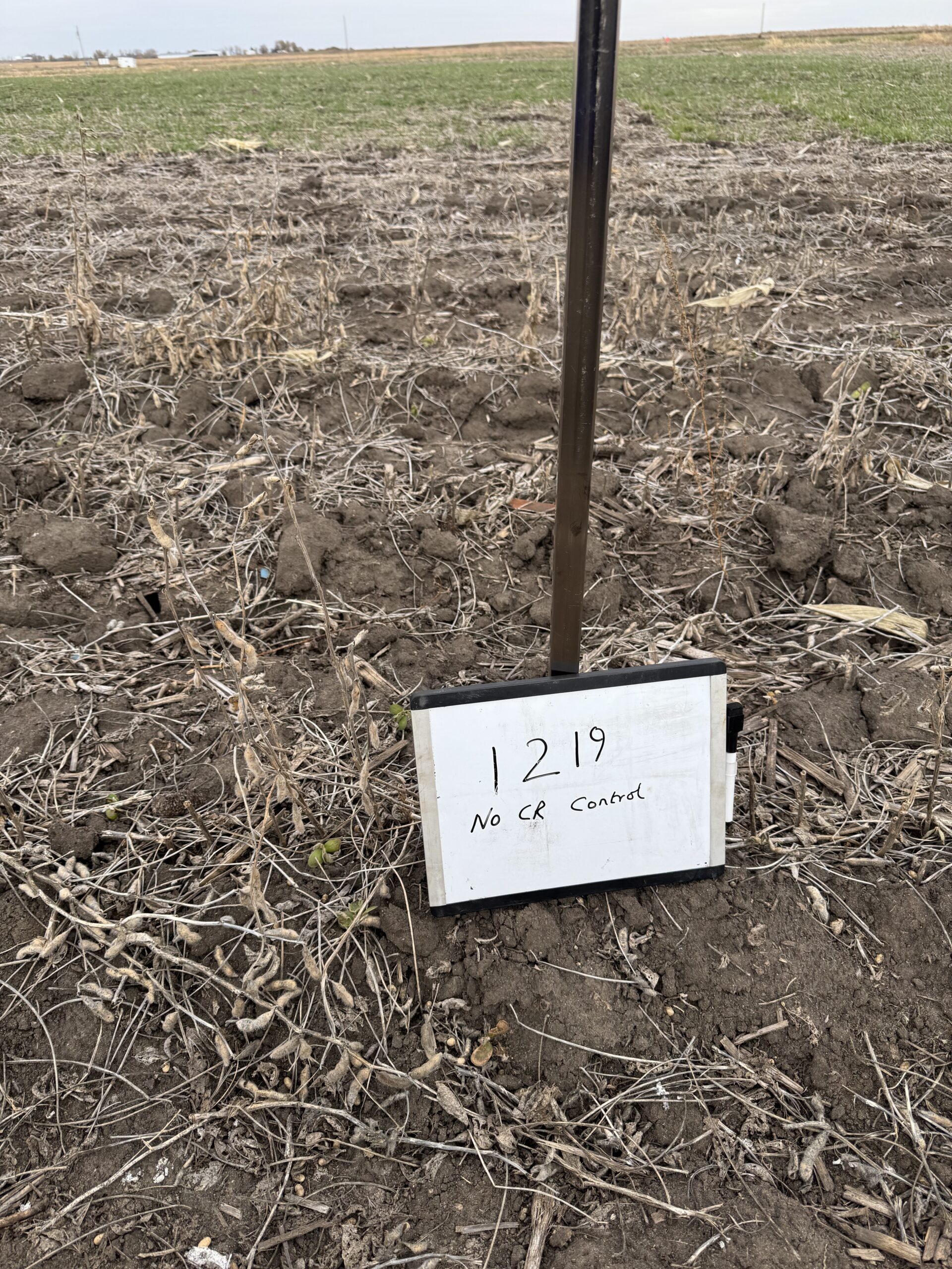 a fallow field with a scientific marker
