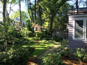 a landscaped backyard with lush green plants