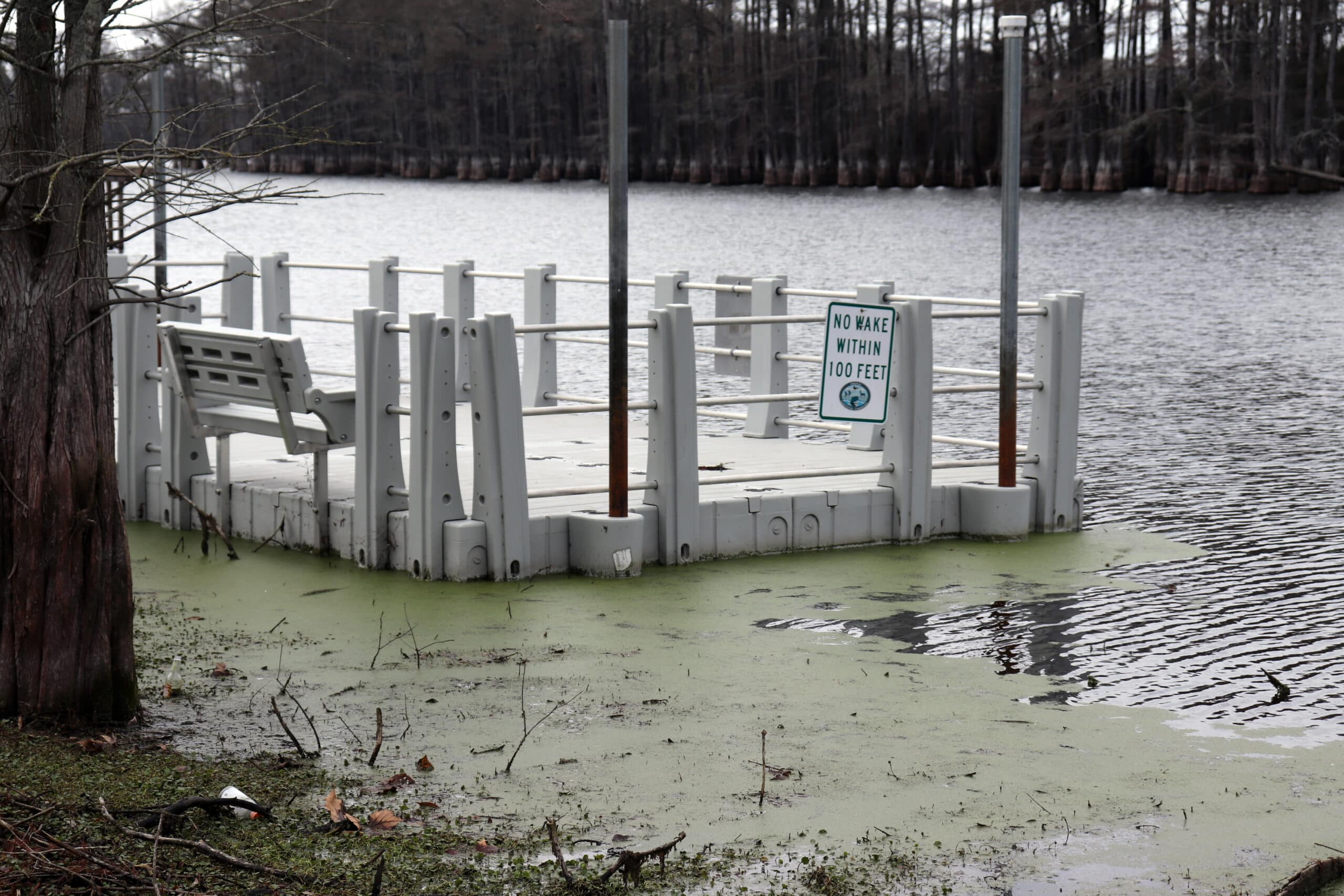 a boat dock on lake enterprise