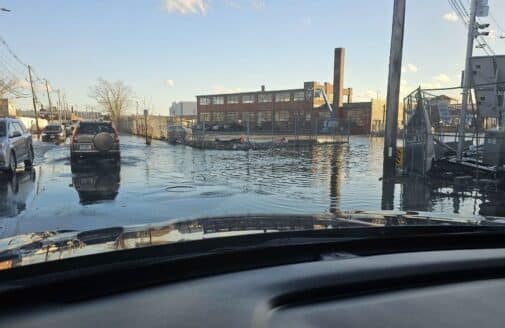 January 13, 2024: Three hours after high tide in Island End River Floodplain.