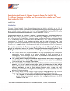 screenshot of first page of the report