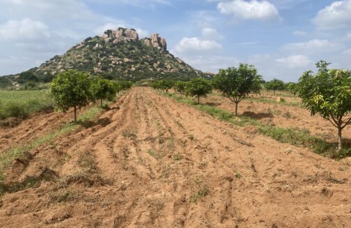 farm fields in andhra pradesh