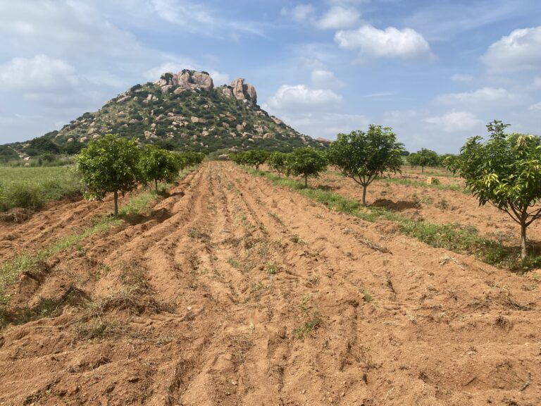 farm fields in andhra pradesh