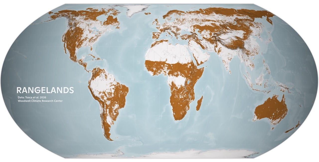 Global map with rangelands highlighted